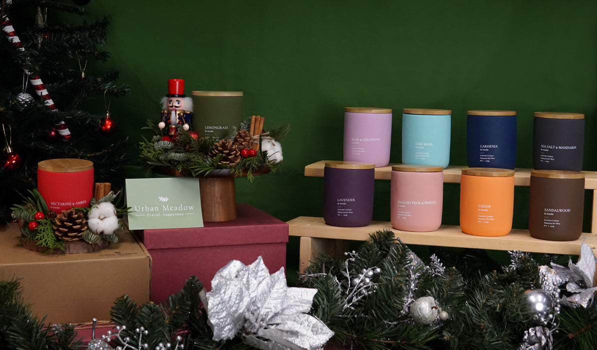 [PRE-ORDER] X'mas 2025 - Christmas Warmth (UM X Zendle Bundle)