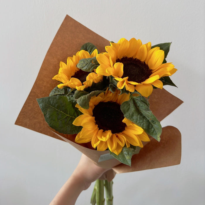 Sunflower En Masse [1 day advance]