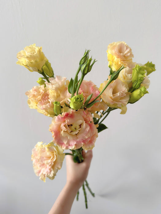 Lisianthus En Masse