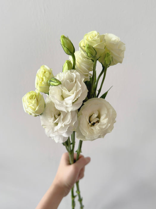 Lisianthus En Masse